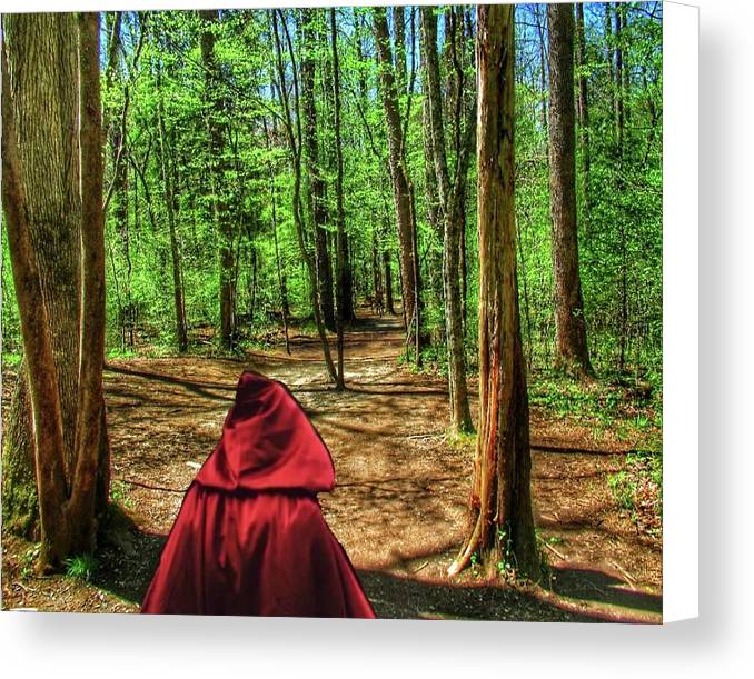 The Way to Grandma's - Canvas Print