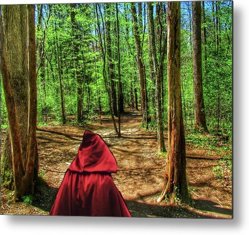 The Way to Grandma's - Metal Print