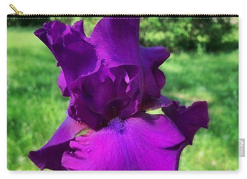 Violet Iris - Carry-All Pouch