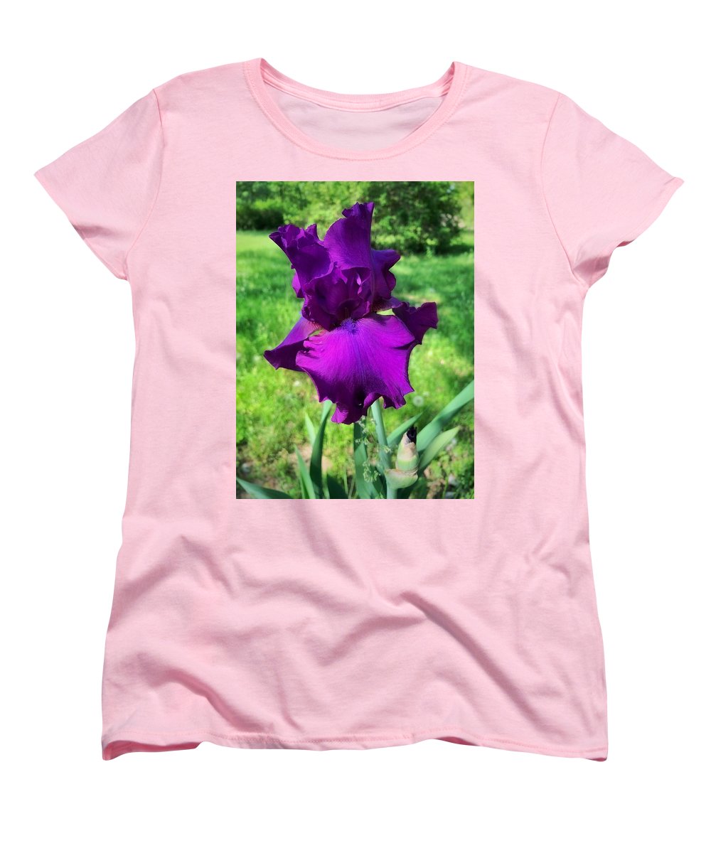 Violet Iris - Women's T-Shirt (Standard Fit)