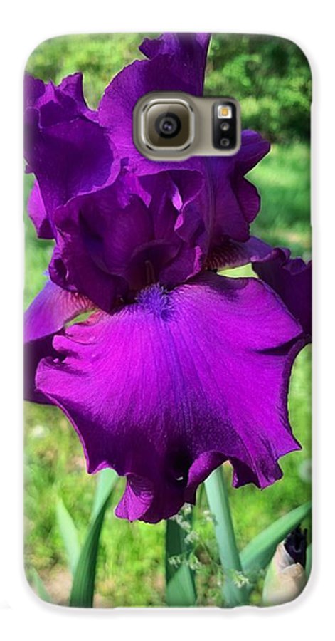 Violet Iris - Phone Case