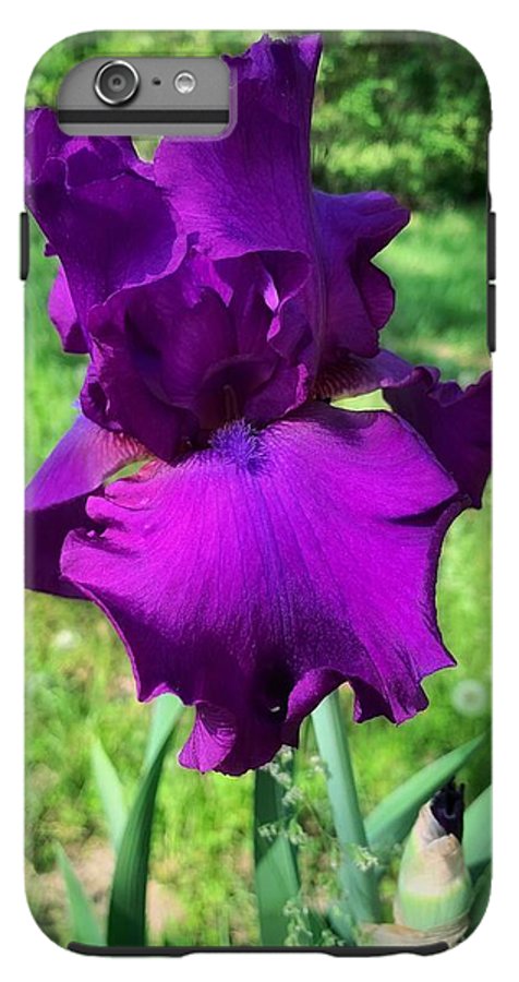 Violet Iris - Phone Case