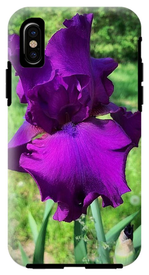 Violet Iris - Phone Case