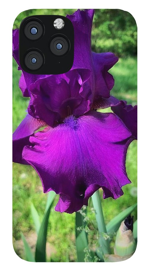 Violet Iris - Phone Case