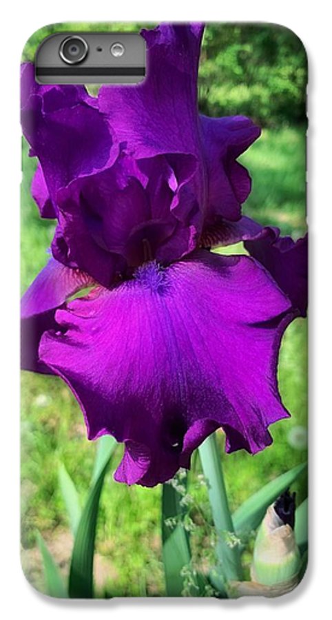 Violet Iris - Phone Case