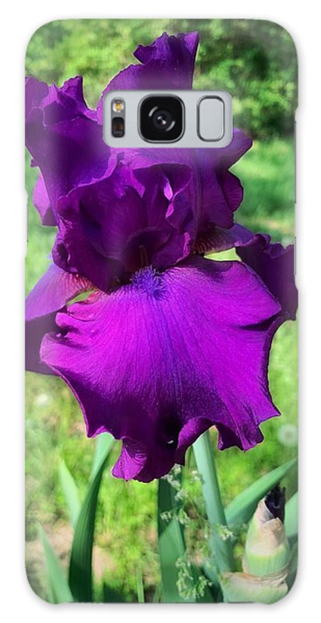 Violet Iris - Phone Case