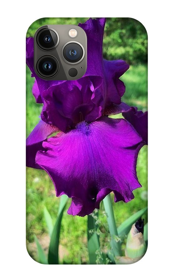 Violet Iris - Phone Case