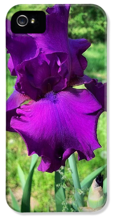 Violet Iris - Phone Case