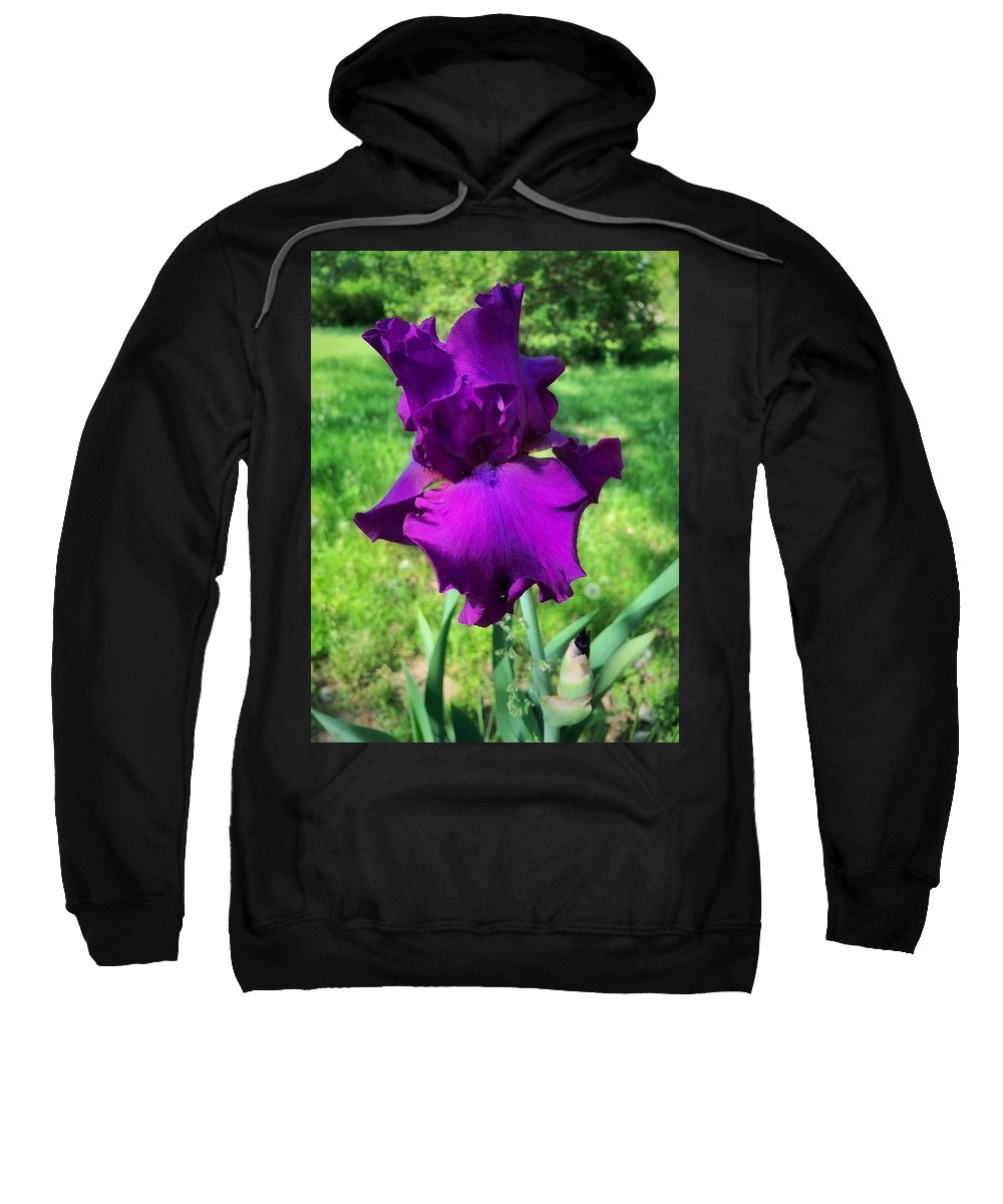 Violet Iris - Sweatshirt