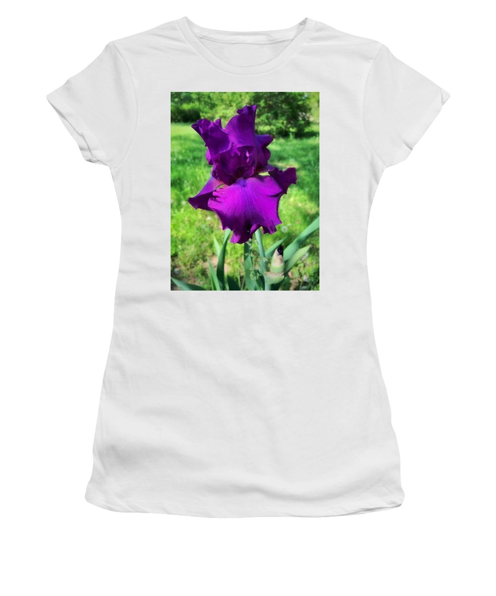 Violet Iris - Women's T-Shirt