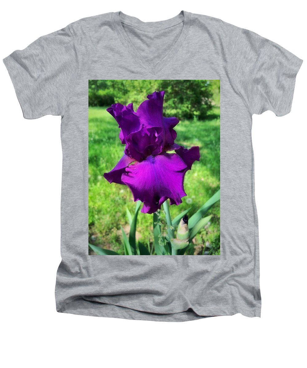 Violet Iris - Men's V-Neck T-Shirt