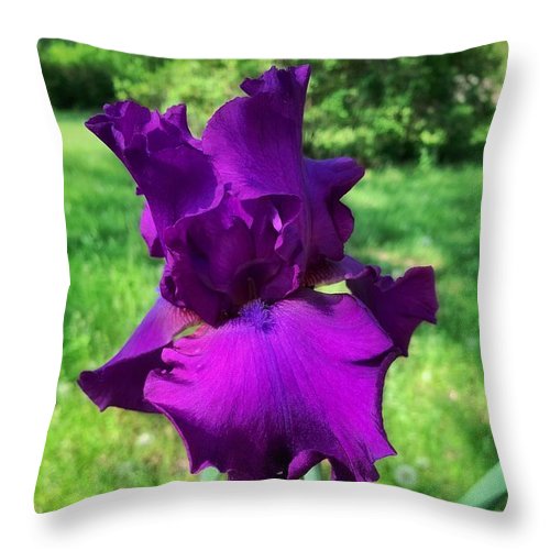 Violet Iris - Throw Pillow