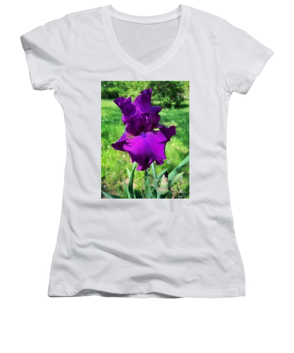 Violet Iris - Women's V-Neck