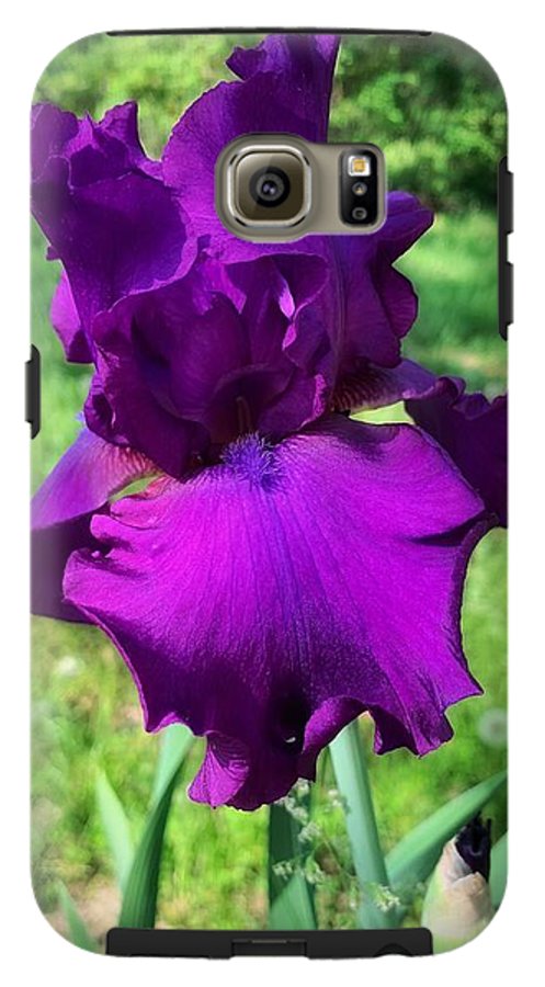 Violet Iris - Phone Case