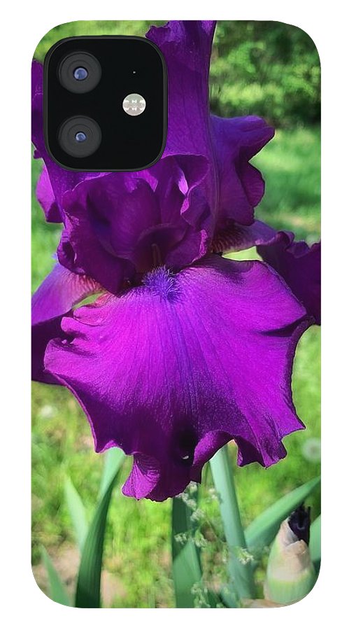 Violet Iris - Phone Case