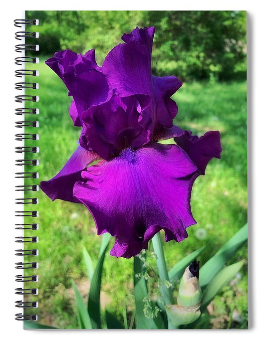 Violet Iris - Spiral Notebook