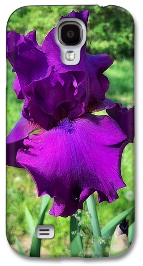 Violet Iris - Phone Case