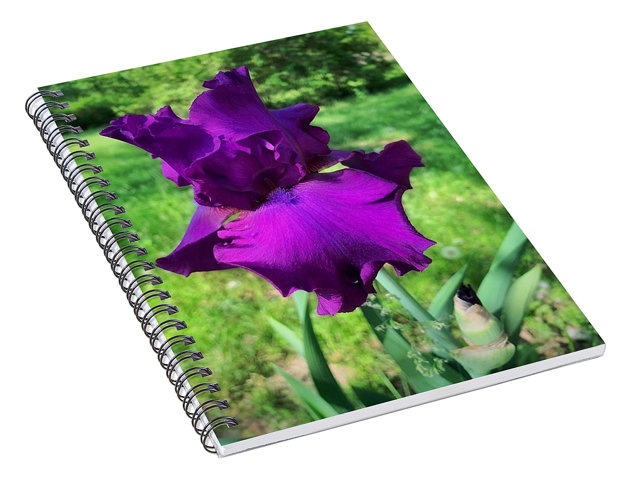 Violet Iris - Spiral Notebook