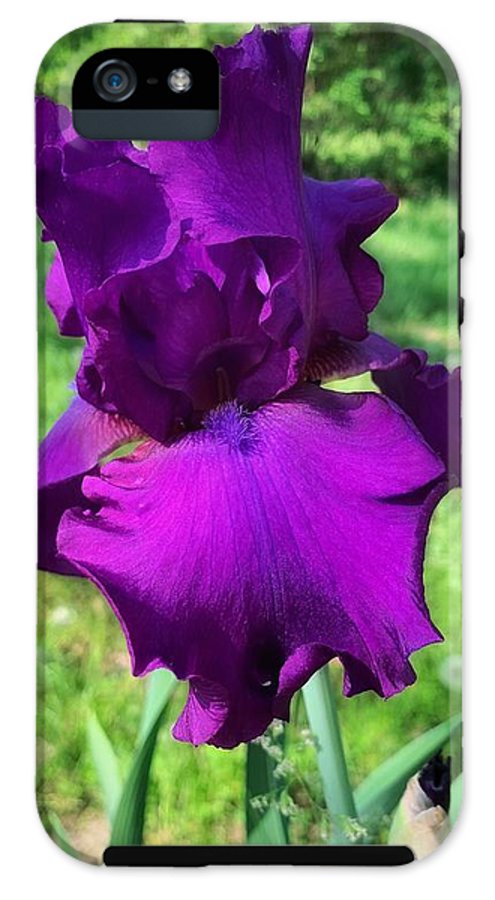 Violet Iris - Phone Case