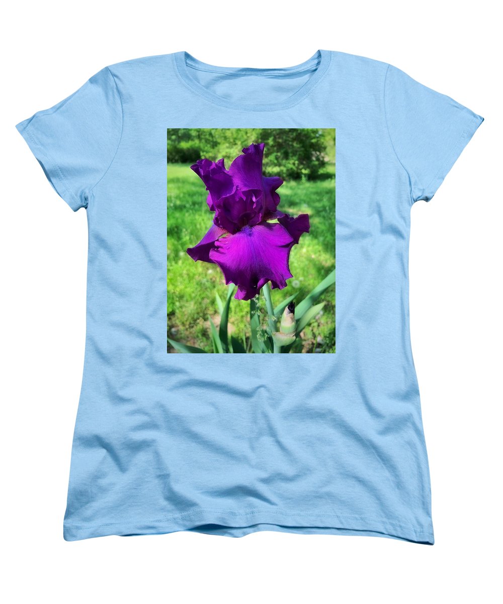 Violet Iris - Women's T-Shirt (Standard Fit)