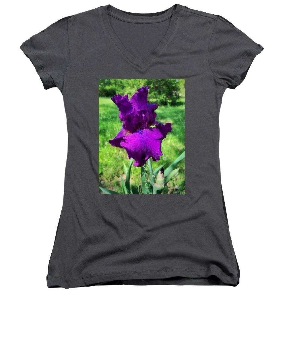 Violet Iris - Women's V-Neck