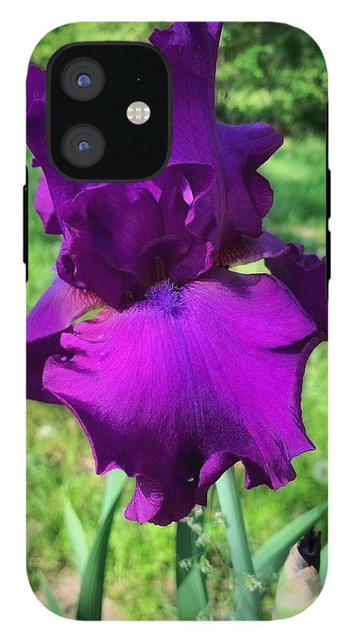 Violet Iris - Phone Case