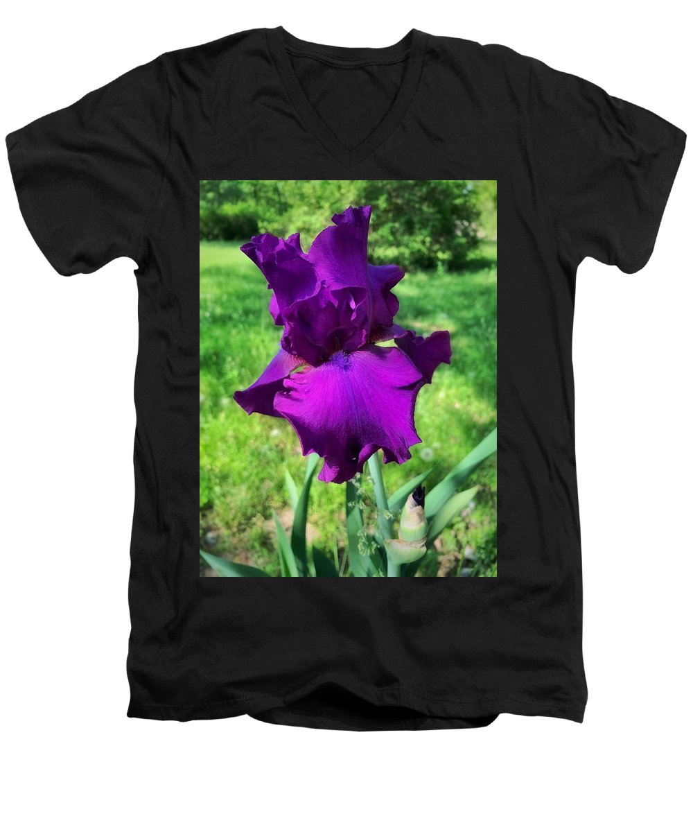 Violet Iris - Men's V-Neck T-Shirt