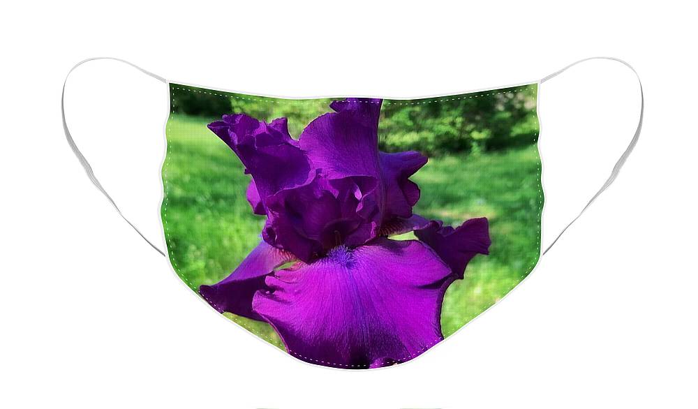 Violet Iris - Face Mask