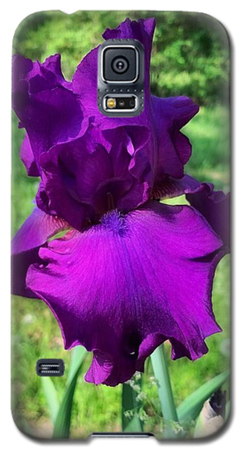 Violet Iris - Phone Case