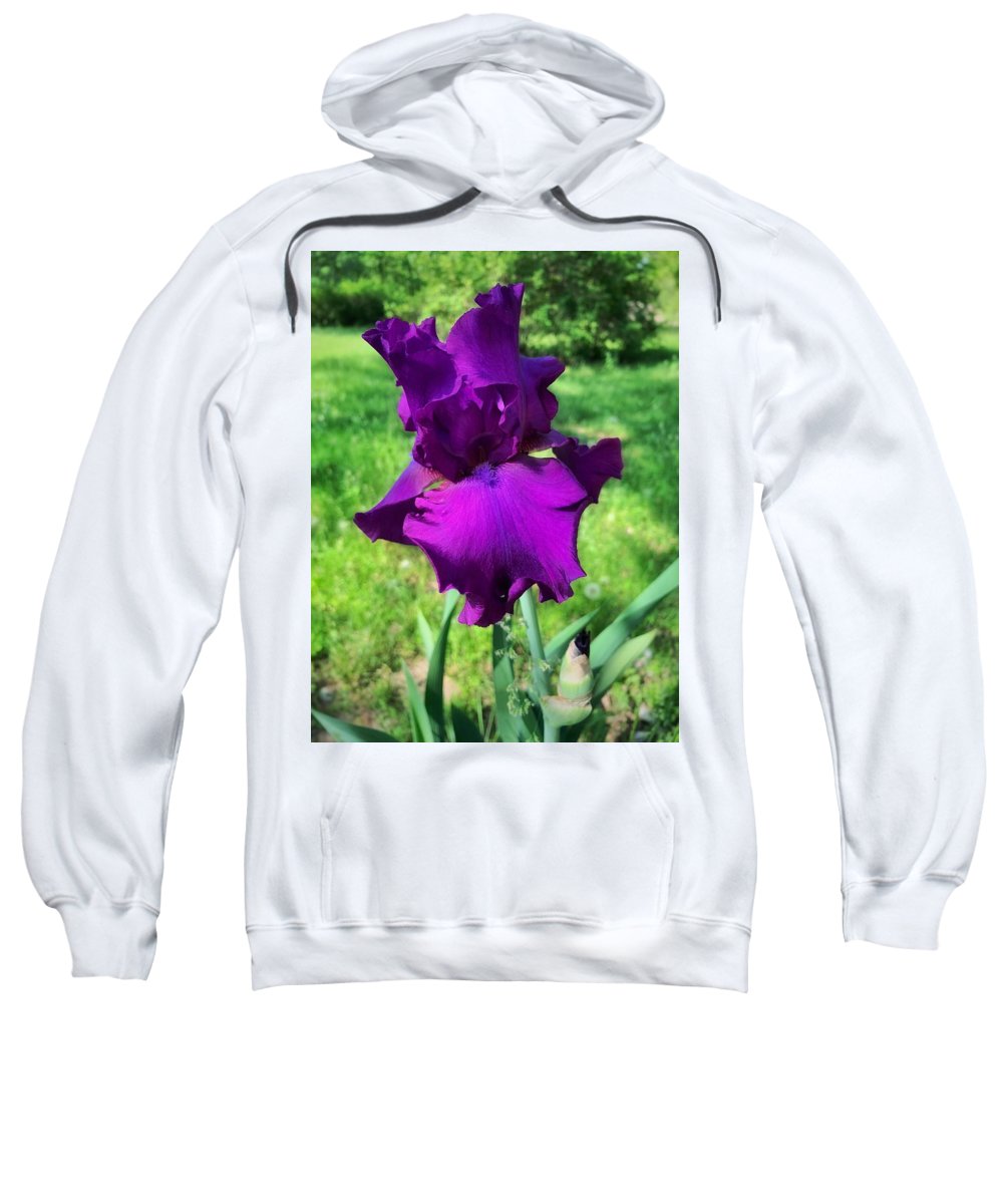 Violet Iris - Sweatshirt