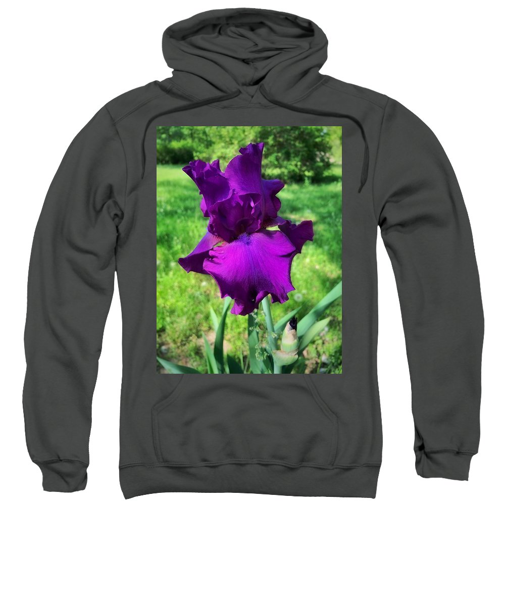 Violet Iris - Sweatshirt