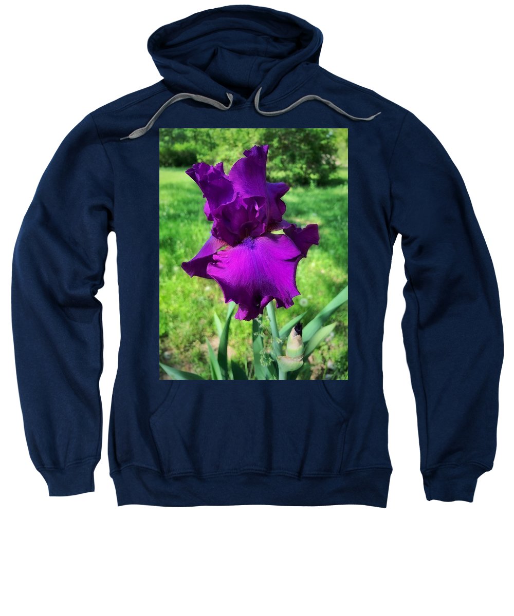 Violet Iris - Sweatshirt