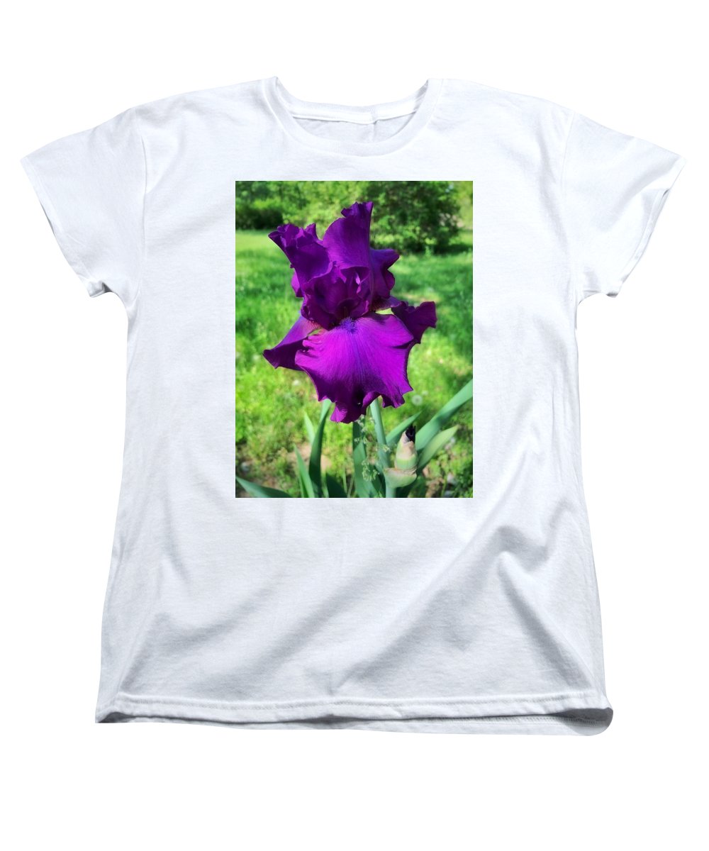 Violet Iris - Women's T-Shirt (Standard Fit)