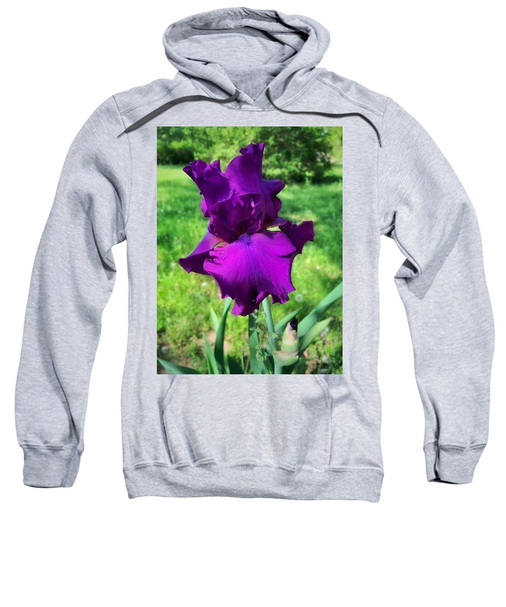 Violet Iris - Sweatshirt