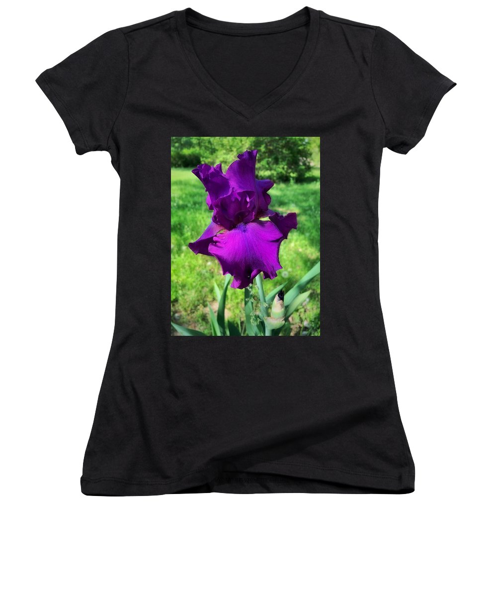 Violet Iris - Women's V-Neck