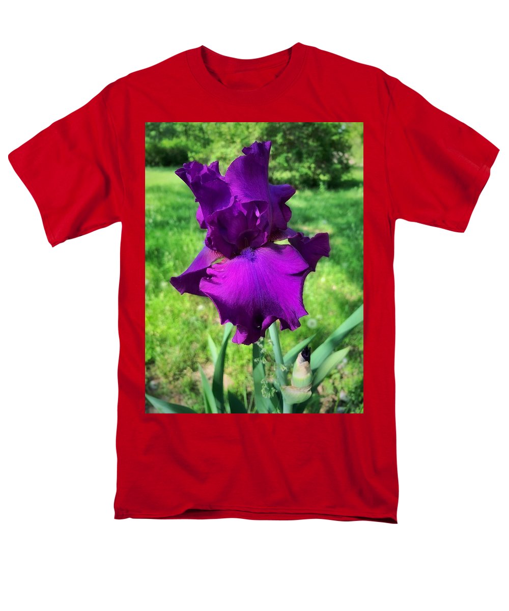 Violet Iris - Men's T-Shirt  (Regular Fit)