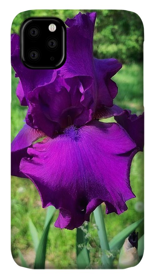 Violet Iris - Phone Case