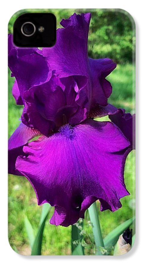 Violet Iris - Phone Case