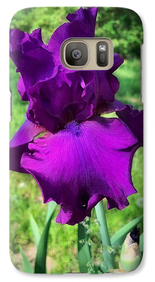 Violet Iris - Phone Case