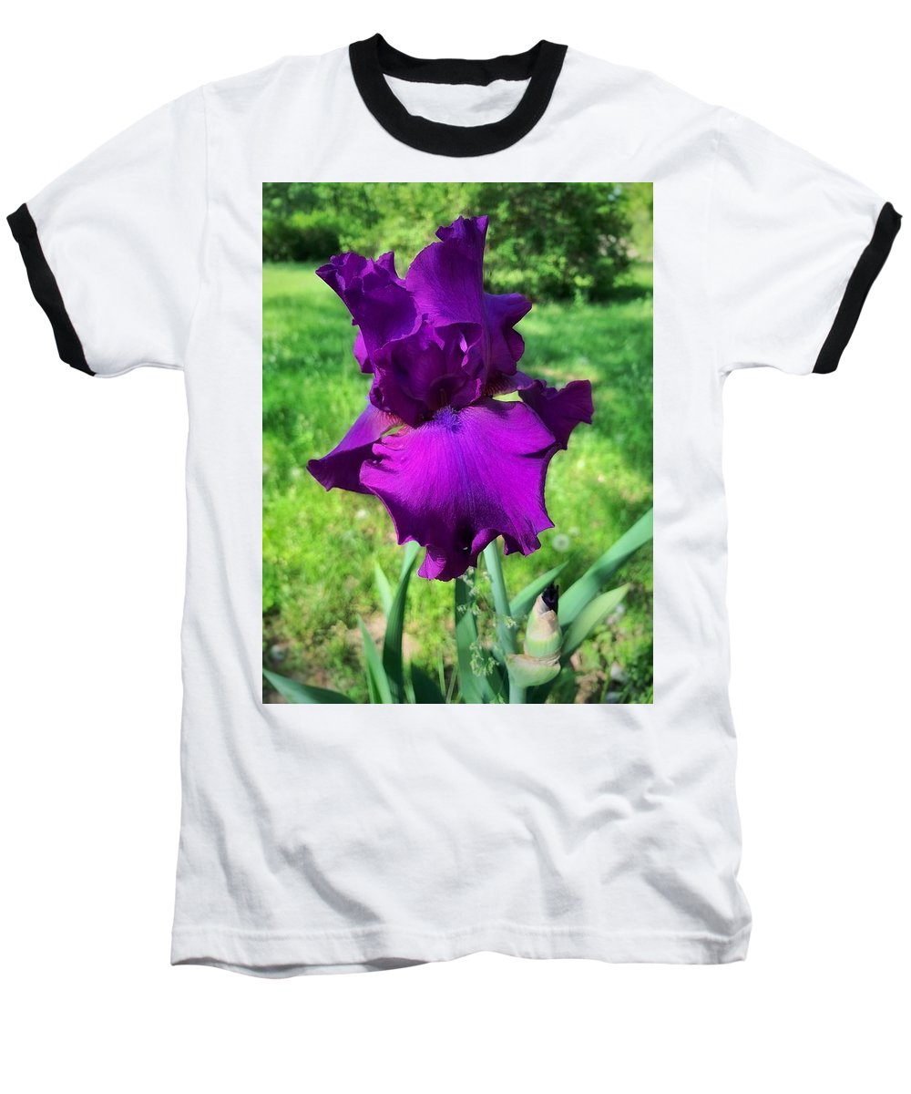 Violet Iris - Baseball T-Shirt