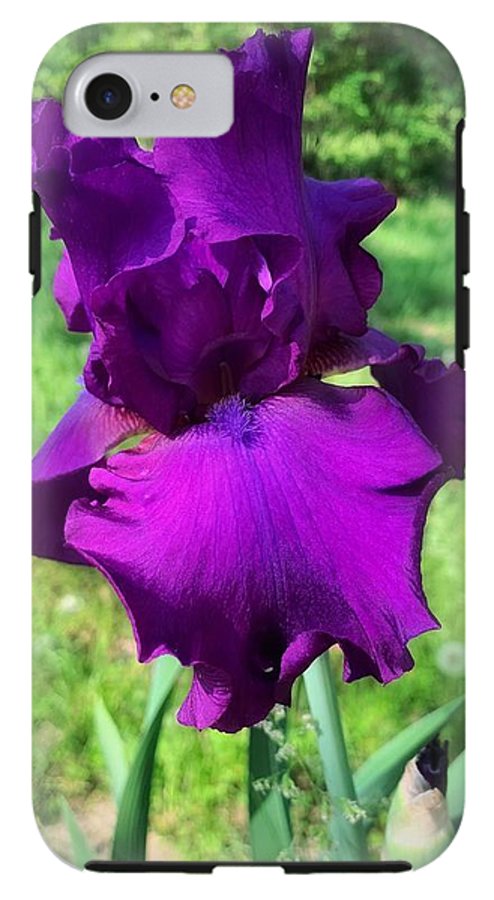 Violet Iris - Phone Case