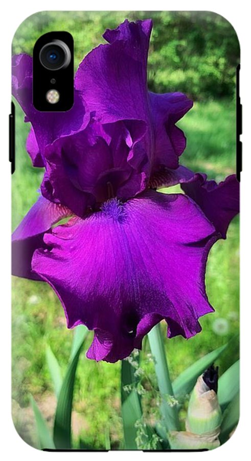 Violet Iris - Phone Case