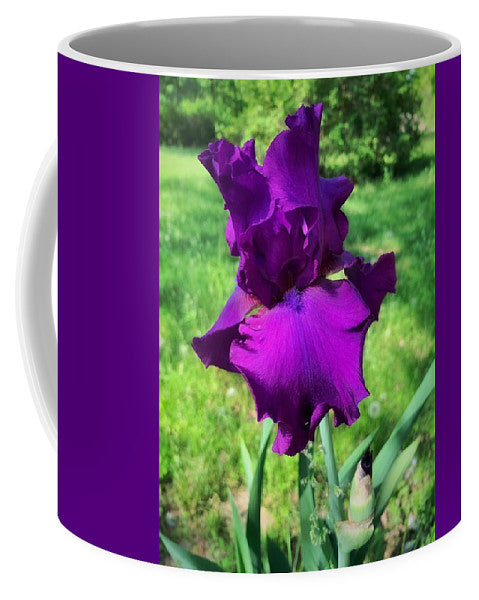 Violet Iris - Mug