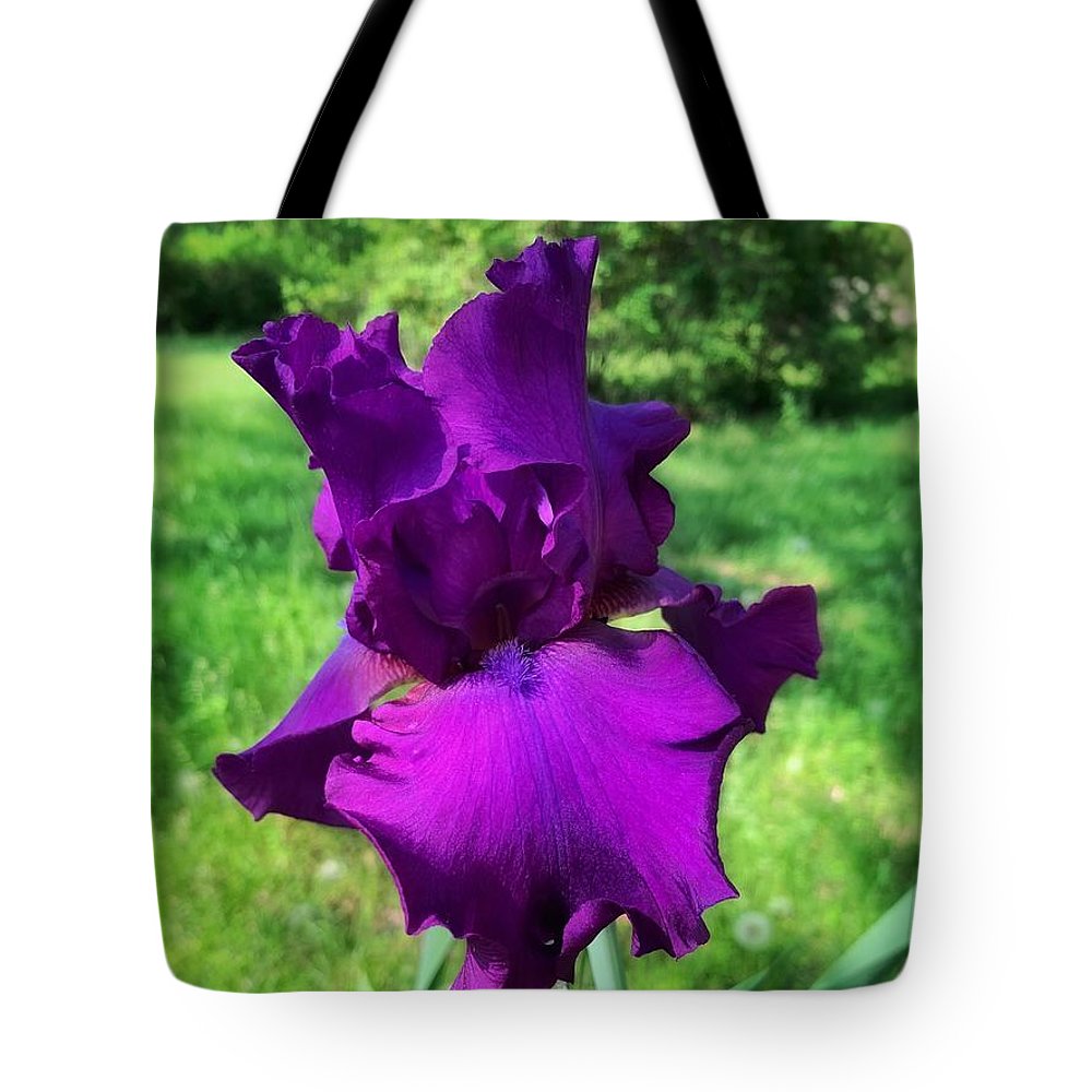 Violet Iris - Tote Bag