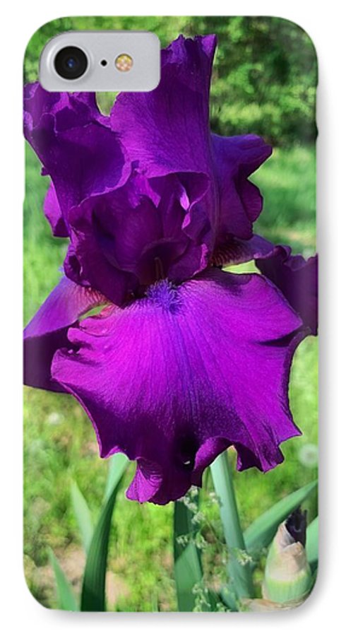 Violet Iris - Phone Case