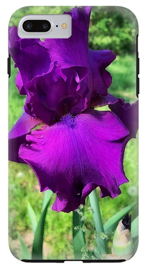 Violet Iris - Phone Case