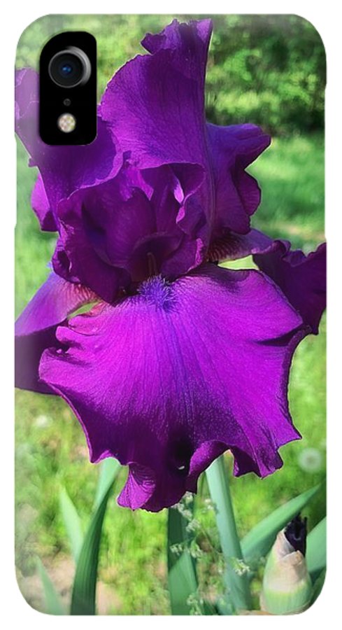 Violet Iris - Phone Case