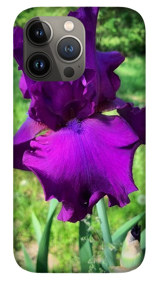 Violet Iris - Phone Case