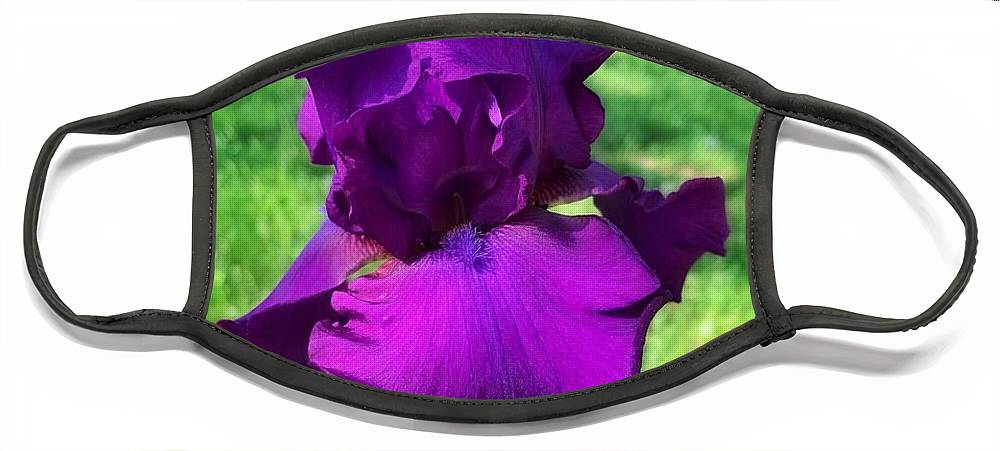 Violet Iris - Face Mask