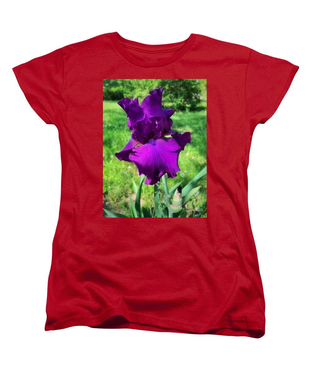 Violet Iris - Women's T-Shirt (Standard Fit)